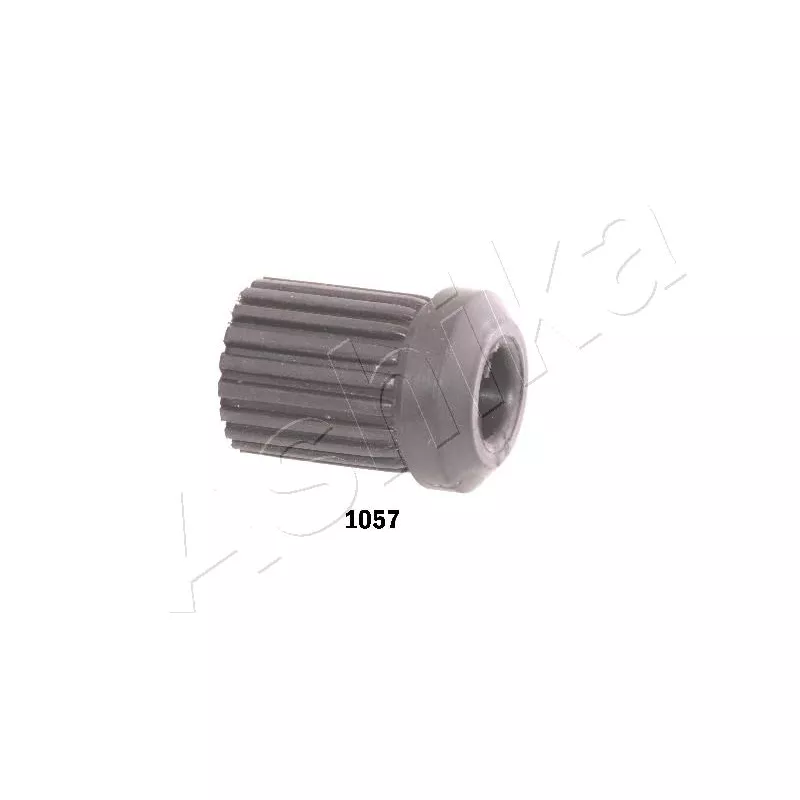 Coussinet de palier, ressort à lames ASHIKA GOM-1057