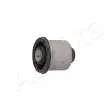 Support, silentbloc du bras transversal ASHIKA GOM-1093 - Visuel 1