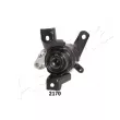 Support moteur ASHIKA GOM-2170 - Visuel 2