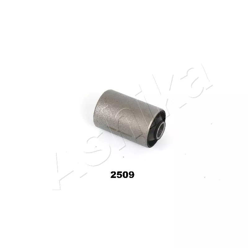 Coussinet de palier, ressort à lames ASHIKA GOM-2509