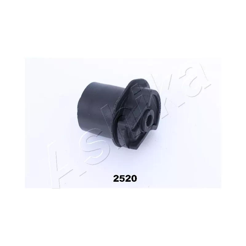 Suspension, corps de l'essieu ASHIKA GOM-2520