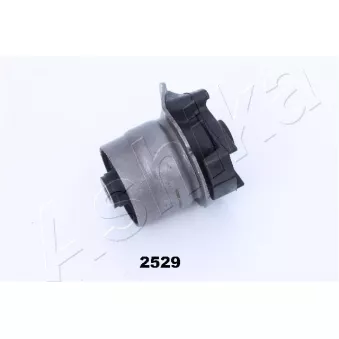 Suspension, corps de l'essieu ASHIKA GOM-2529