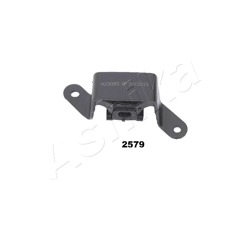 Cache batterie ASHIKA GOM-2579