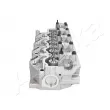 Culasse de cylindre ASHIKA HY012S - Visuel 2