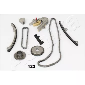 Kit de distribution par chaîne ASHIKA KCK123