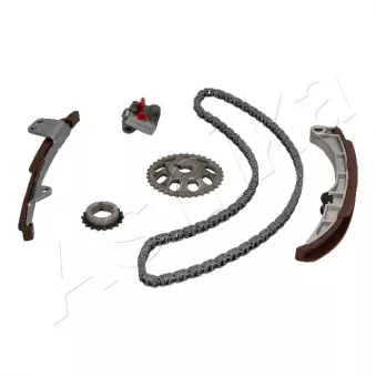 Kit de distribution par chaîne ASHIKA KCK202