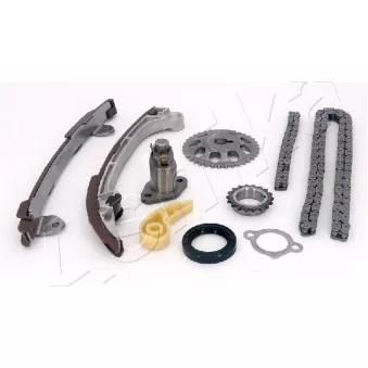 Kit de distribution par chaîne ASHIKA KCK205