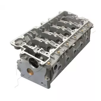 Culasse de cylindre ASHIKA LR002S