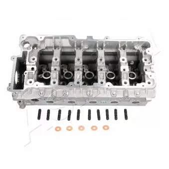 Culasse de cylindre ASHIKA LR004S