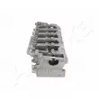 Culasse de cylindre ASHIKA LR004S - Visuel 3
