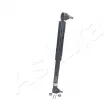 Amortisseur de direction ASHIKA MA-00001 - Visuel 1