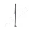 Amortisseur de direction ASHIKA MA-00006 - Visuel 3
