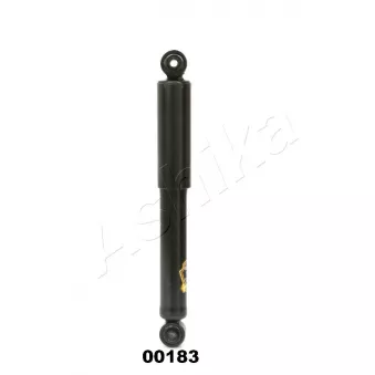 Jeu de 2 amortisseurs arrière ASHIKA MA-00183