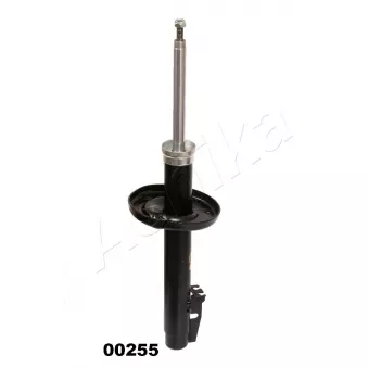 Jeu de 2 amortisseurs avant ASHIKA MA-00255
