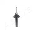 Amortisseur avant droit ASHIKA MA-00367 - Visuel 3