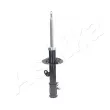 Amortisseur avant droit ASHIKA MA-00608 - Visuel 3
