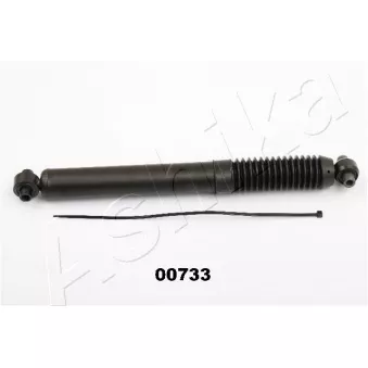 Jeu de 2 amortisseurs arrière ASHIKA MA-00733