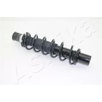 Jeu de 2 amortisseurs arrière ASHIKA MA-01150