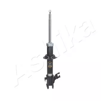 Amortisseur avant droit ASHIKA MA-10036