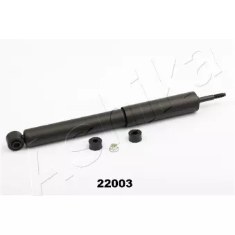 Jeu de 2 amortisseurs arrière ASHIKA MA-22003