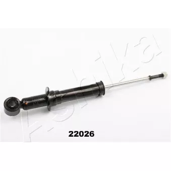 Jeu de 2 amortisseurs arrière ASHIKA MA-22026