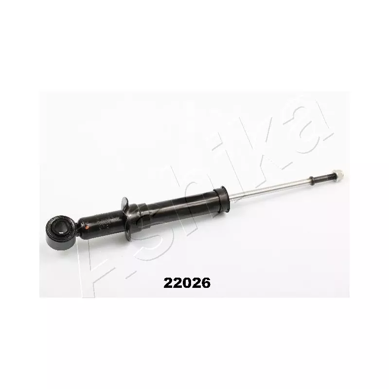 Jeu de 2 amortisseurs arrière ASHIKA MA-22026