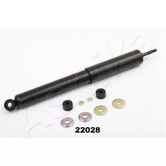 Jeu de 2 amortisseurs arrière ASHIKA MA-22028