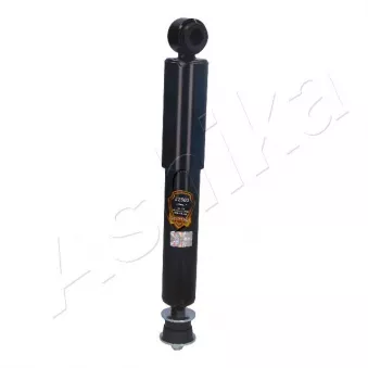Jeu de 2 amortisseurs arrière ASHIKA MA-22503