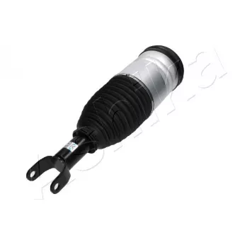 Armortisseur pneumatique ASHIKA