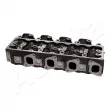 Culasse de cylindre ASHIKA NS007S - Visuel 2