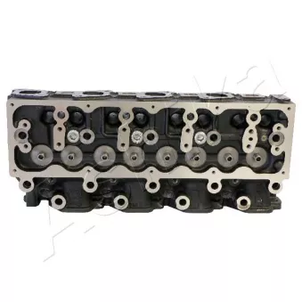 Culasse de cylindre ASHIKA NS008S