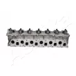 Culasse de cylindre ASHIKA NS010S - Visuel 1
