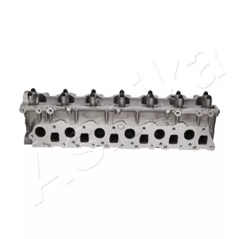 Culasse de cylindre ASHIKA NS011S
