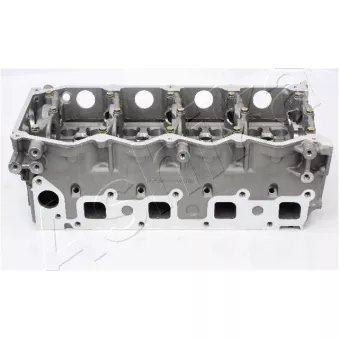 Culasse de cylindre ASHIKA NS012S
