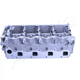 Culasse de cylindre ASHIKA NS015S