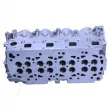 Culasse de cylindre ASHIKA NS015S - Visuel 2
