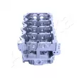 Culasse de cylindre ASHIKA NS015S - Visuel 3