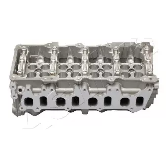 Culasse de cylindre ASHIKA NS016S