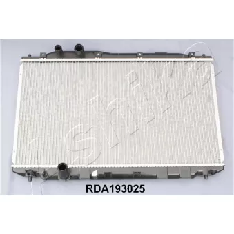 Radiateur, refroidissement du moteur ASHIKA RDA193025