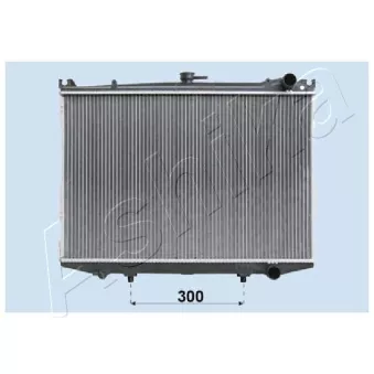 Radiateur, refroidissement du moteur ASHIKA RDA213047