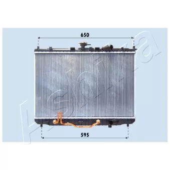 Radiateur, refroidissement du moteur ASHIKA RDA333024