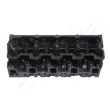 Culasse de cylindre ASHIKA TY004S - Visuel 1