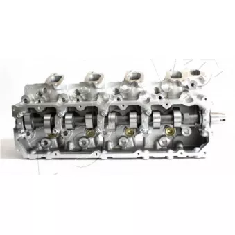 Culasse de cylindre ASHIKA TY020S