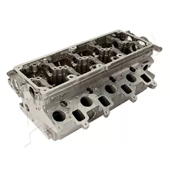 Culasse de cylindre ASHIKA VW06ES