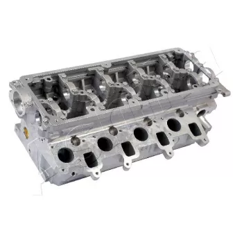 Culasse de cylindre ASHIKA VW09ES
