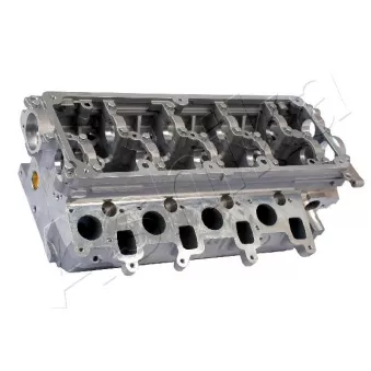 Culasse de cylindre ASHIKA VW10ES