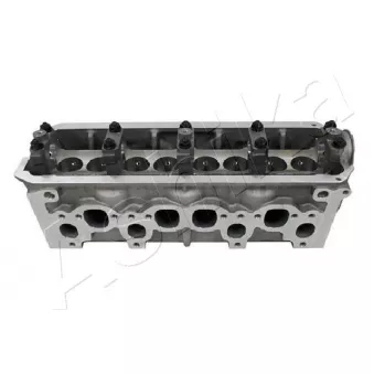 Culasse de cylindre ASHIKA VW14ES