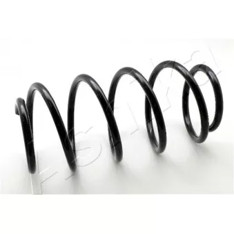 Ressort de suspension ASHIKA ZCA1009H