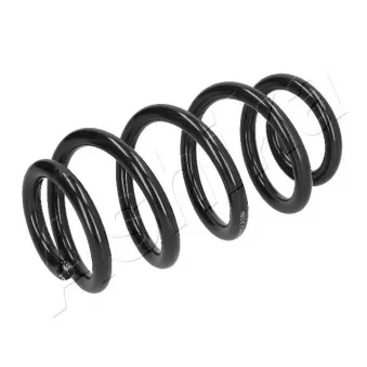 Ressort de suspension ASHIKA ZCA1012A