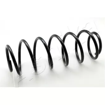 Ressort de suspension ASHIKA ZCA1014H